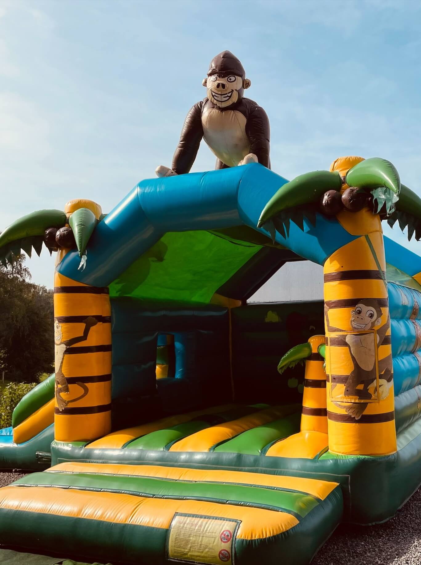 Château gonflable Jungle & Singe - Vue 1